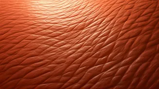 Why Skin Infections Become More Common During Monsoon