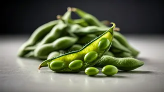 Edamame: The Japanese Powerhouse Bean for Your Weight Loss Journey