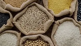 Diwali Price Shock! Pulses, Rice, Jowar & Wheat Turn Costlier Across Maharashtra