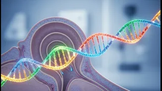 Rare OTOF-related deafness: Gene Therapy For Genetic Hearing Loss shows the promise of targeted inner-ear treatment