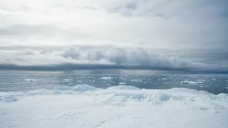 The New Arctic Cloud-Particle Study Offers New Clues About Sea Ice Effects On Cloud Formation