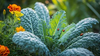 7 Kale Companion Plants for a Pest-Free Spring and Summer Garden