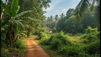 Slow Travel in Goa Is Shifting Focus From Beaches to Lush Inland Experiences