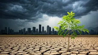 Urban India Cannot Ignore Rainfall Gaps