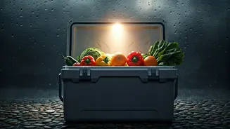Fresh Meals Turn Monsoon Comfort Into Safety