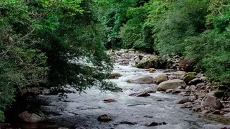Backpacking Across The Western Ghats This Monsoon? Don't Forget These Travel Basics