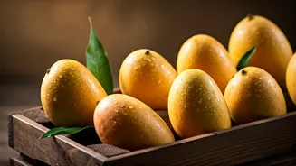 Kesar Mangoes Arrive Early in Gujarat: Export Demand Fuels Optimism for a Bountiful, Extended Season