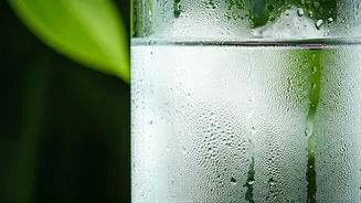 Hydration And Sleep Are Your Summer Defence Plan