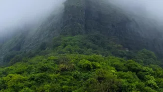 Exploring Western Ghats In Monsoon: Best Road Trip Routes Near Satara Mahabaleshwar