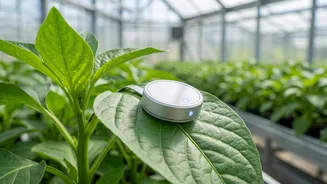 Plant Disease Sensors Designed by AI Show Promise in Early Tests