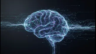 10 Lakh Trainees Make AI Literacy Serious