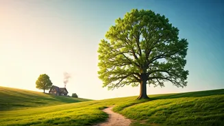 Immanuel Kant's Simple 3-Part Guide to a Happier Life