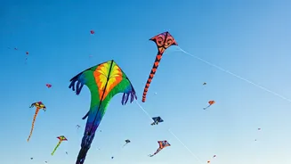 Bollywood Buzz: Modi, Emraan & More at Kite Fest!