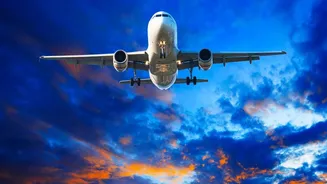 A Jobs Bright Spot in Travel in Focus After July's 17% Travel-And-Tourism Hiring Rise