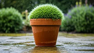 Drainage Problems Can Wreck Your Green Corner
