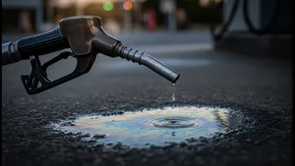 Dealers Want Stronger Monsoon Protocols As E20 Petrol Becomes More Common