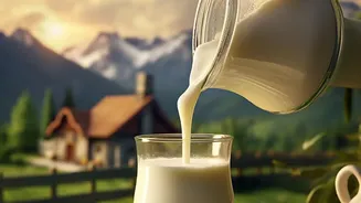 India’s Milk Supply: How Rising Heat Could Affect Production