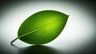 Unlock Sustainable Weight Loss: The Crucial Protein Mistake to Avoid!