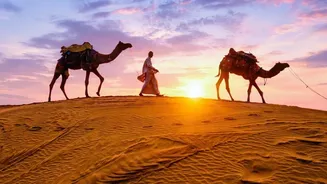 Why Rajasthan's Current Monsoon Travel Surge Raises Questions About Nature Travel Beyond The Desert Image