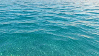 Gili Trawangan: The World's Top Spot for Year-Round Ocean Swimming with Crystal-Clear Waters