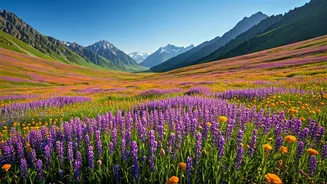 Why Peak Bloom Prediction Draws Thousands To Uttarakhand Valley