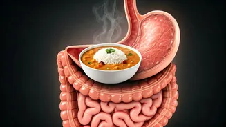 Daily Sambar-Chawal: Body's Reaction