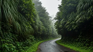 Best Weekend Trips Near Delhi-NCR During The Rains