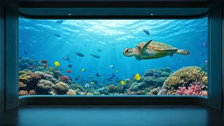 Dive into Dreams: 10 Incredible Underwater Hotels for an Aquatic Getaway