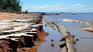 Coastal Communities Plant Mangrove Bio-Shields To Mitigate Escalating Tidal Erosion Along Eastern Coast