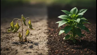 What India's Changing Food Basket could change about the gap between energy intake and nutrient adequacy