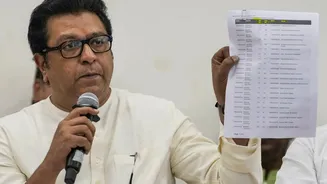 '96 lakh fake voters': Raj Thackeray's BIG claim