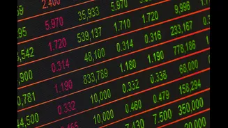 Sensex, Nifty Gain on IT Sector Rally and FII Inflows