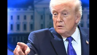 Related Stories banner