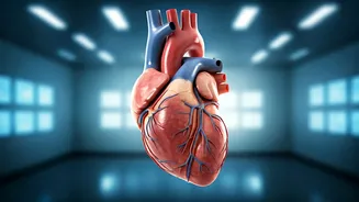 Preventing Heart Attacks: 5 Expert Strategies