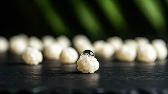 Sabudana Secrets: Unlock Radiant Glass Skin This Navratri Naturally!