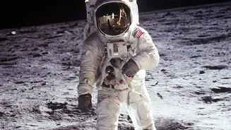 Inside NASA's Selected Moon Base Investigations: Scientists Plan To Look For Underground Shelters