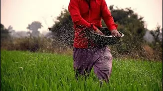 ITCMAARS rolls out 'Crop Doctor' AI pest-disease identification tool