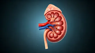 Water Overload: Hidden Dangers of Drinking Too Much