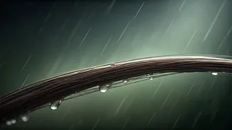 Two Hundred Strands Loss: The Brutal Monsoon Reality
