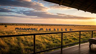 Wildlife Lodges Are The Anti-Boring Summer Break