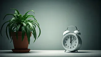 क्या सुकून की चाहत तनाव बढ़ा रही है? असली आराम का रास्ता जानें!