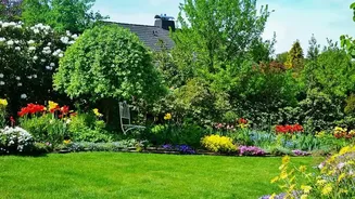 August's Heat-Humidity Balcony Test Brings Heat-Tolerant Varieties Into The Garden Plan