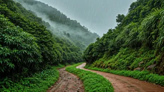Monsoon Magic Awaits Beyond India's Tourist Trails
