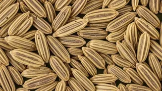 Why caraway seeds are great for your digestion