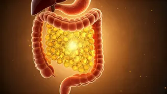 Unlocking Regularity: How Vitamin B1 Could Be Your Key to a Happy Gut