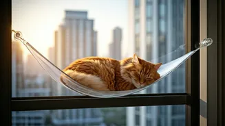 Mount Cozy Window Hammocks To Double High-Rise Pet Space