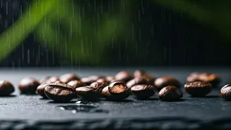 Local Coffee Brews Are Trending This Monsoon