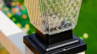 Solar-Powered Cold Hubs Ensure Longer Shelf Life For Bengaluru Rose Crops