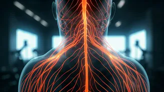 Fitness Overload? 5 Subtle Signs Your Workout is Causing More Stress Than Strength