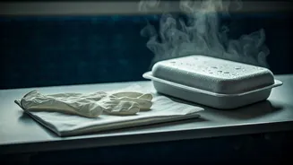 Vande Bharat Allergy Scare: Passenger's Shocking Experience and IRCTC's Response